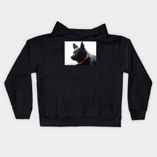 Black Dog Kids Hoodie